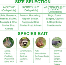 Load image into Gallery viewer, Stainless Steel Large Animal Trap - 51x19x17in for Dogs, Coyotes, Raccoons