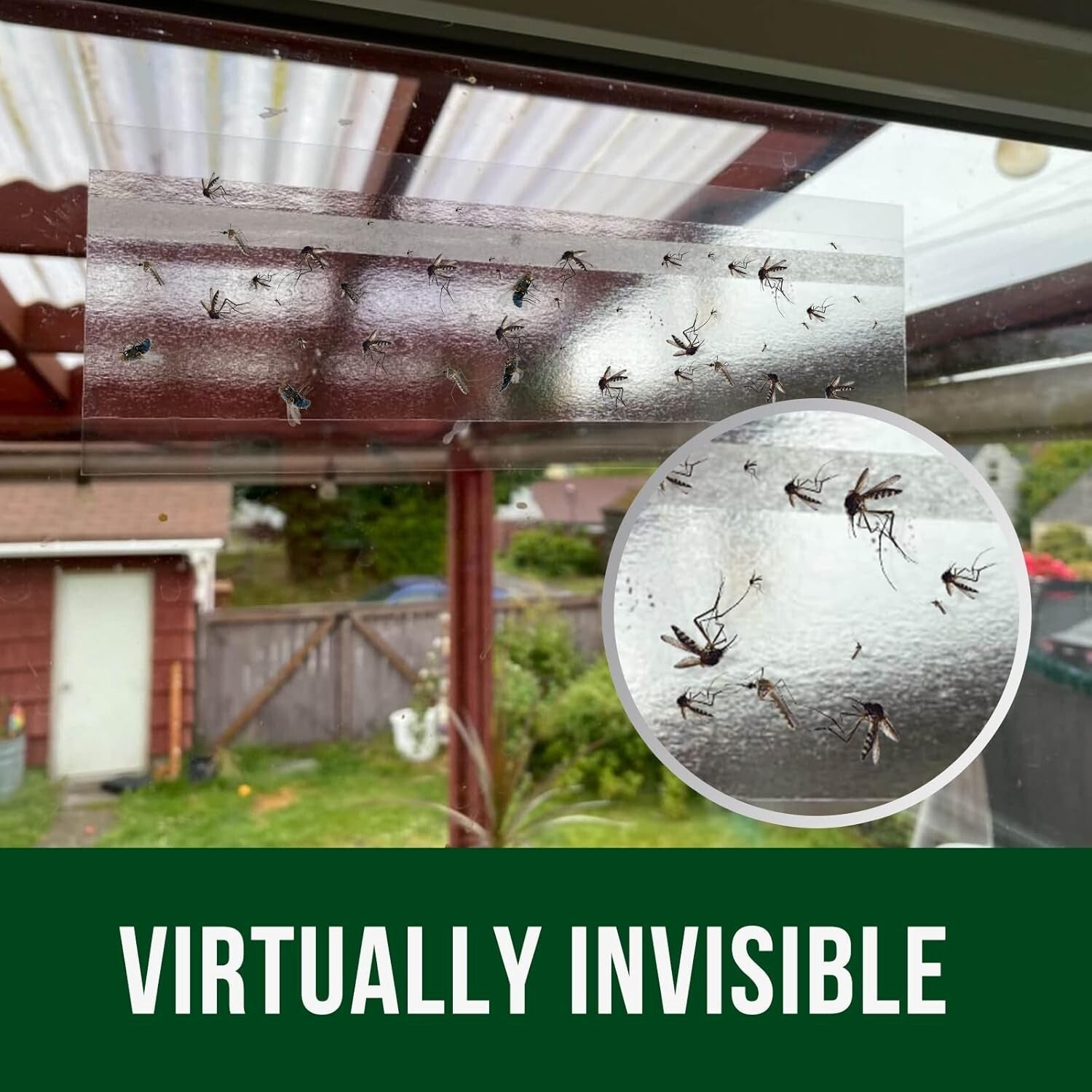 Non-Toxic Indoor Fly Sticky Traps - 120 Pack Window Decals for Clean Catching