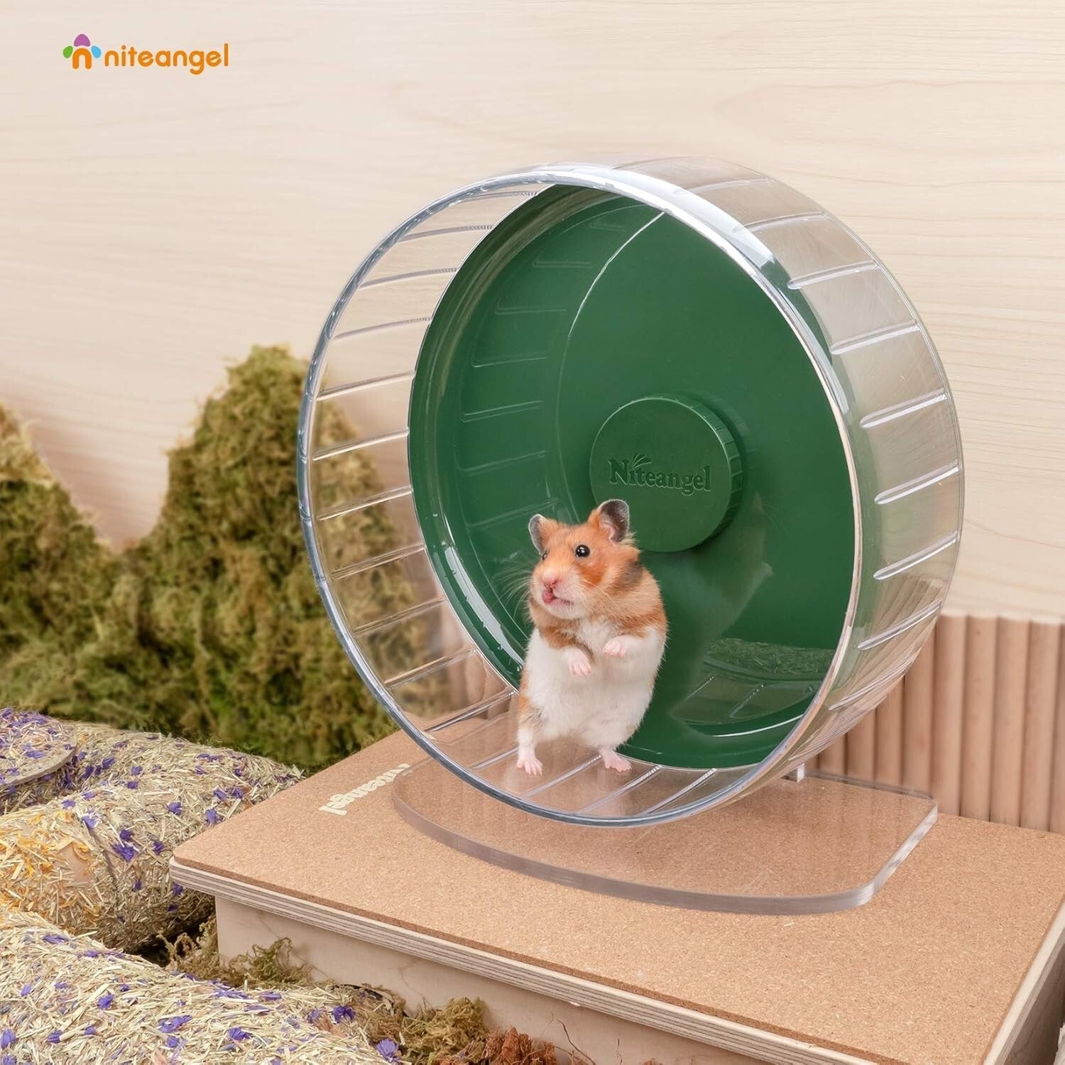 Durable Dark Green Hamster Exercise Wheel - Quiet Spinner with Adjustable Stand