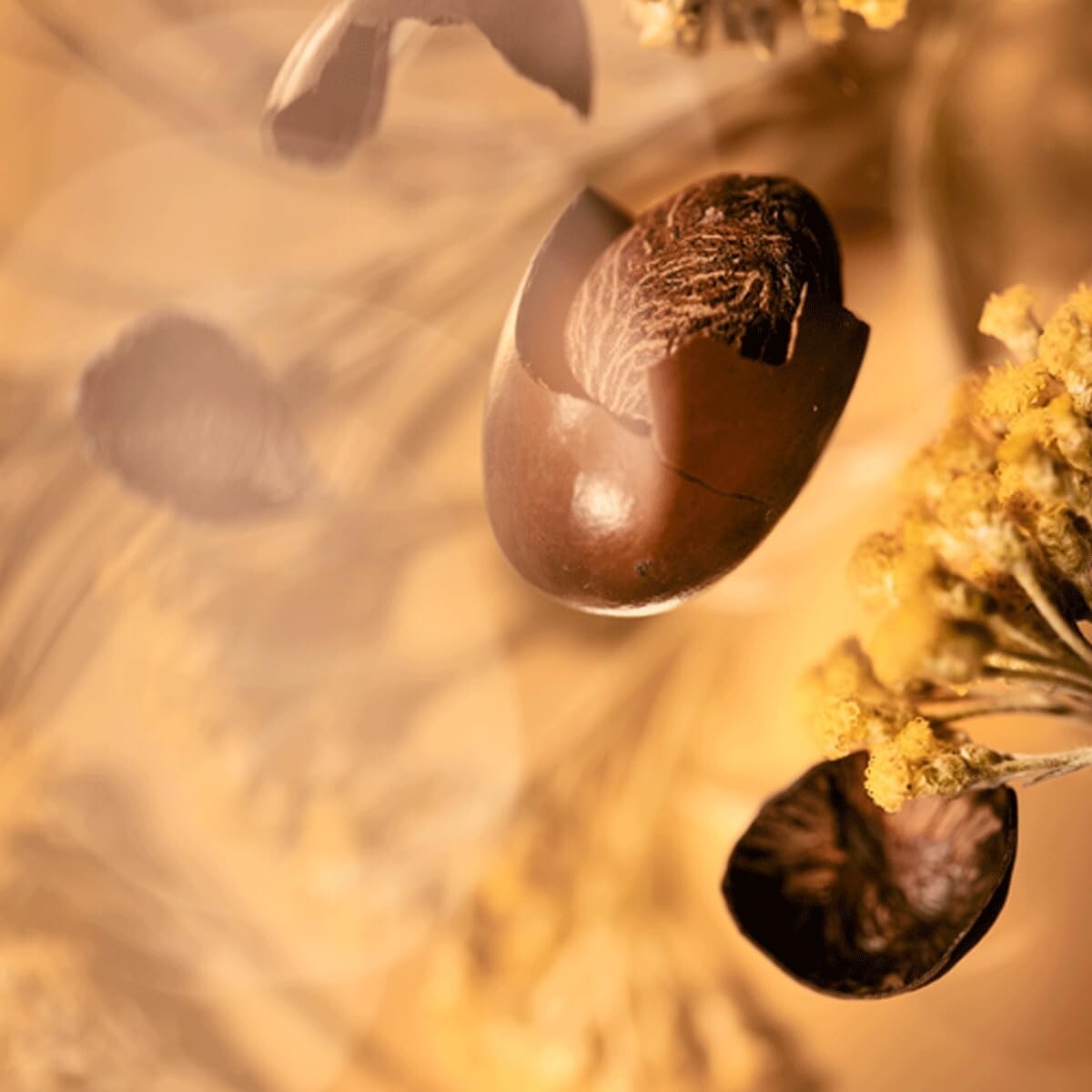 Rejuvenating Shea Body Oil (5% Shea) – 3.3 Fl Oz for Silky Skin & Lustrous Hair