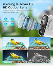 Load image into Gallery viewer, Eco-Friendly Smart Bird Feeder: AI Recognition &amp; Night Vision for 11,000 Species