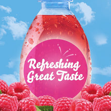 Load image into Gallery viewer, Portable Raspberry Ice On-the-Go Drink Mix - 120 Sugar-Free Packets, 5 Calories