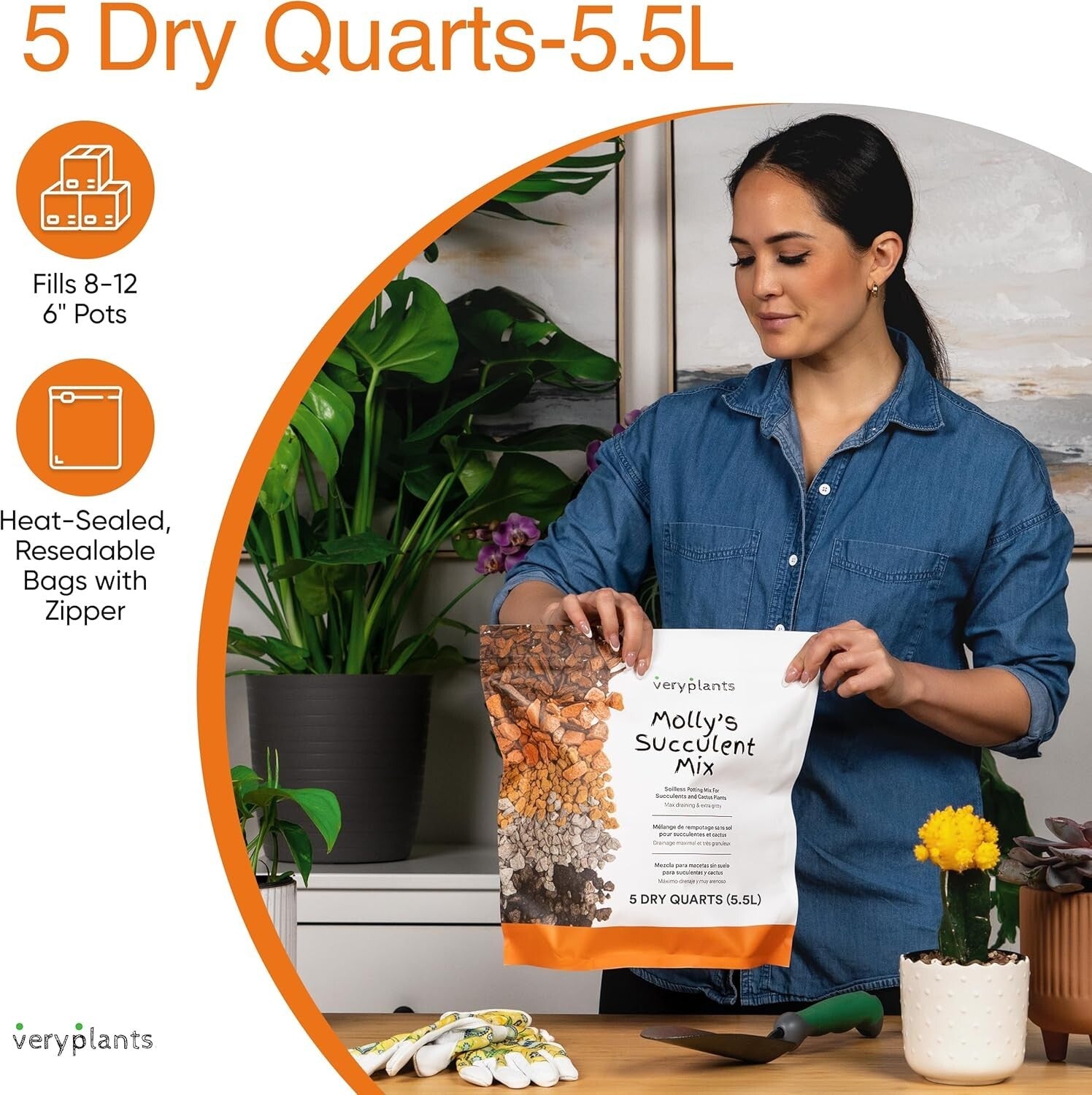 Molly's Premium Succulent Mix - Gritty Soilless Soil for Cacti & Bonsai 5 Quarts