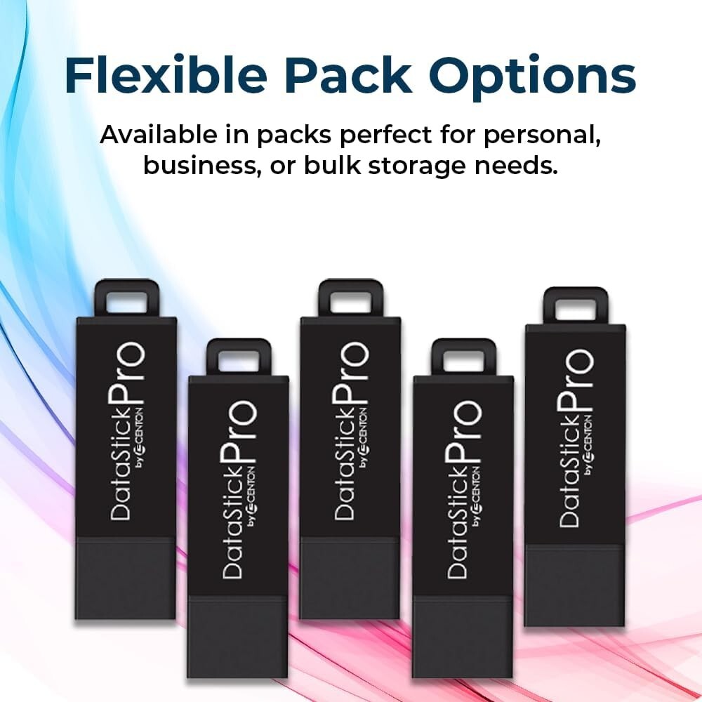 DataStick Pro 256GB Flash Drive - High-Speed USB 3.0 for Efficient Data Transfer