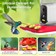 Load image into Gallery viewer, Ultimate Hummingbird Feeder with 4K Camera—AI Species Identifier &amp; Notifications