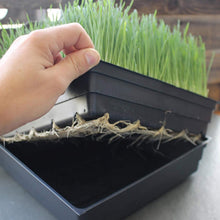 Load image into Gallery viewer, Minimalist Black Gardening Trays - 10-Pack with Drain Holes for Indoor Use