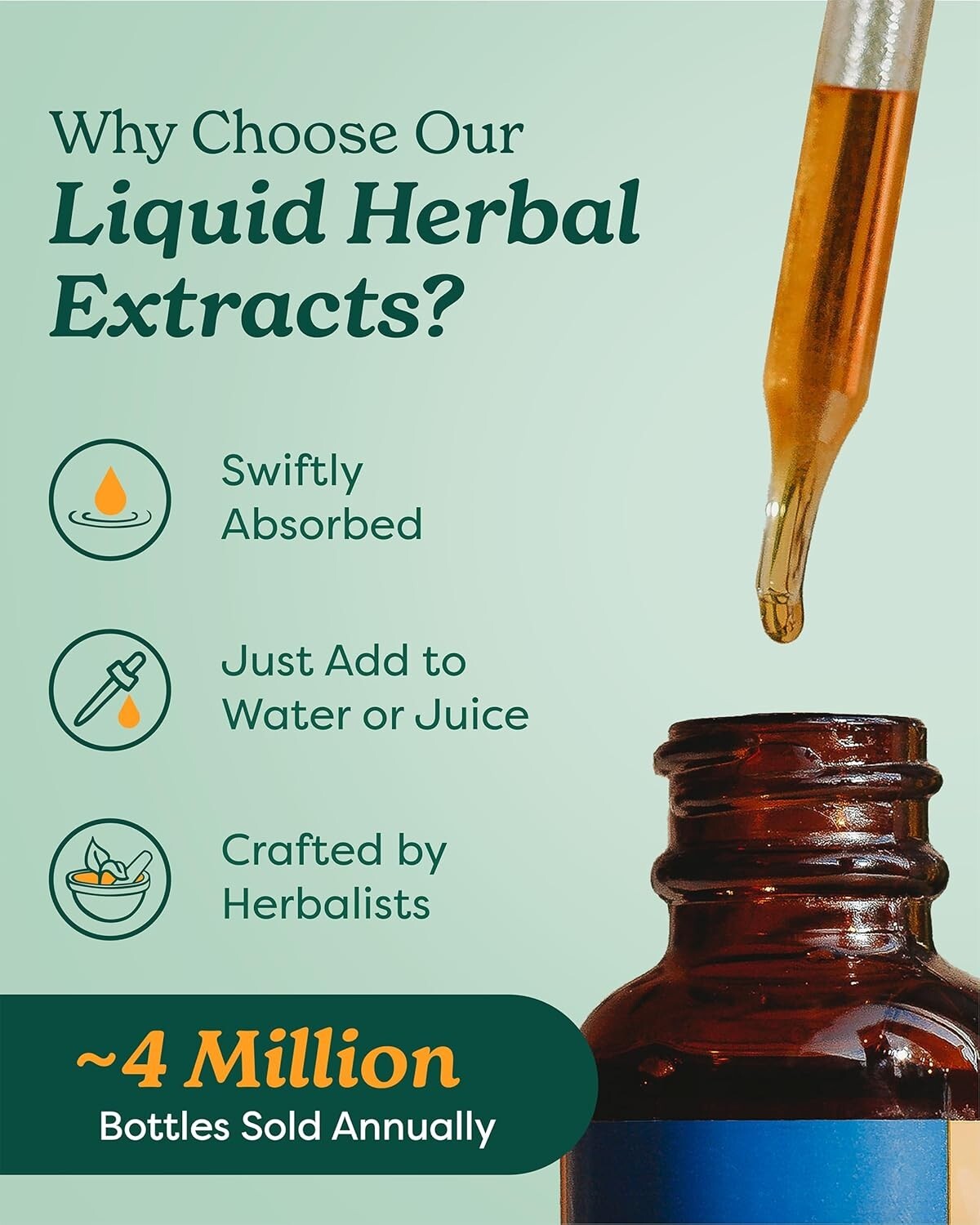 Sustainably Sourced St. John's Wort Liquid Extract - 4oz for Mood Enhancement