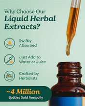 Load image into Gallery viewer, Sustainably Sourced St. John's Wort Liquid Extract - 4oz for Mood Enhancement