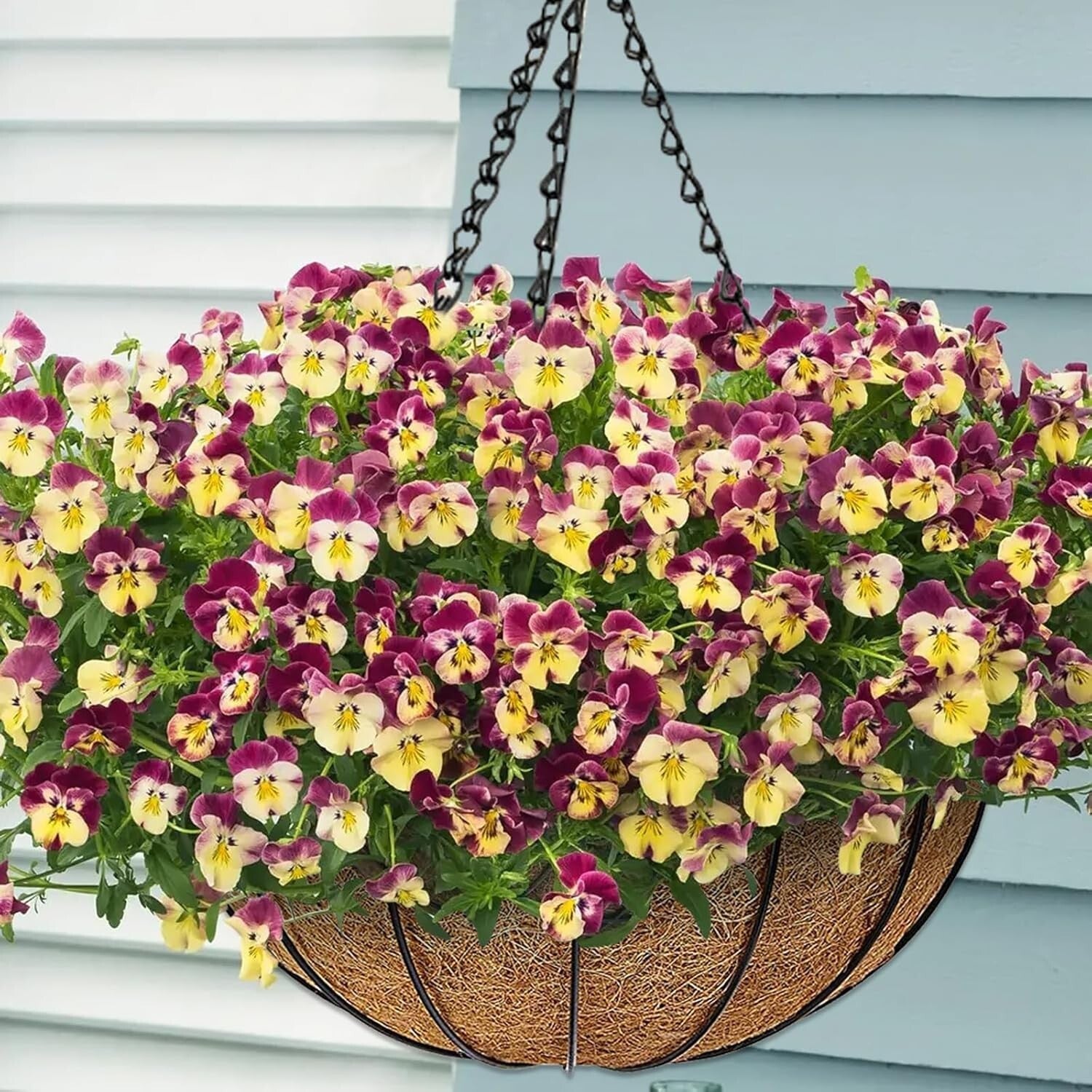 2 Pack 16 Inch Round Hanging Planter Baskets with Natural Coconut Liners