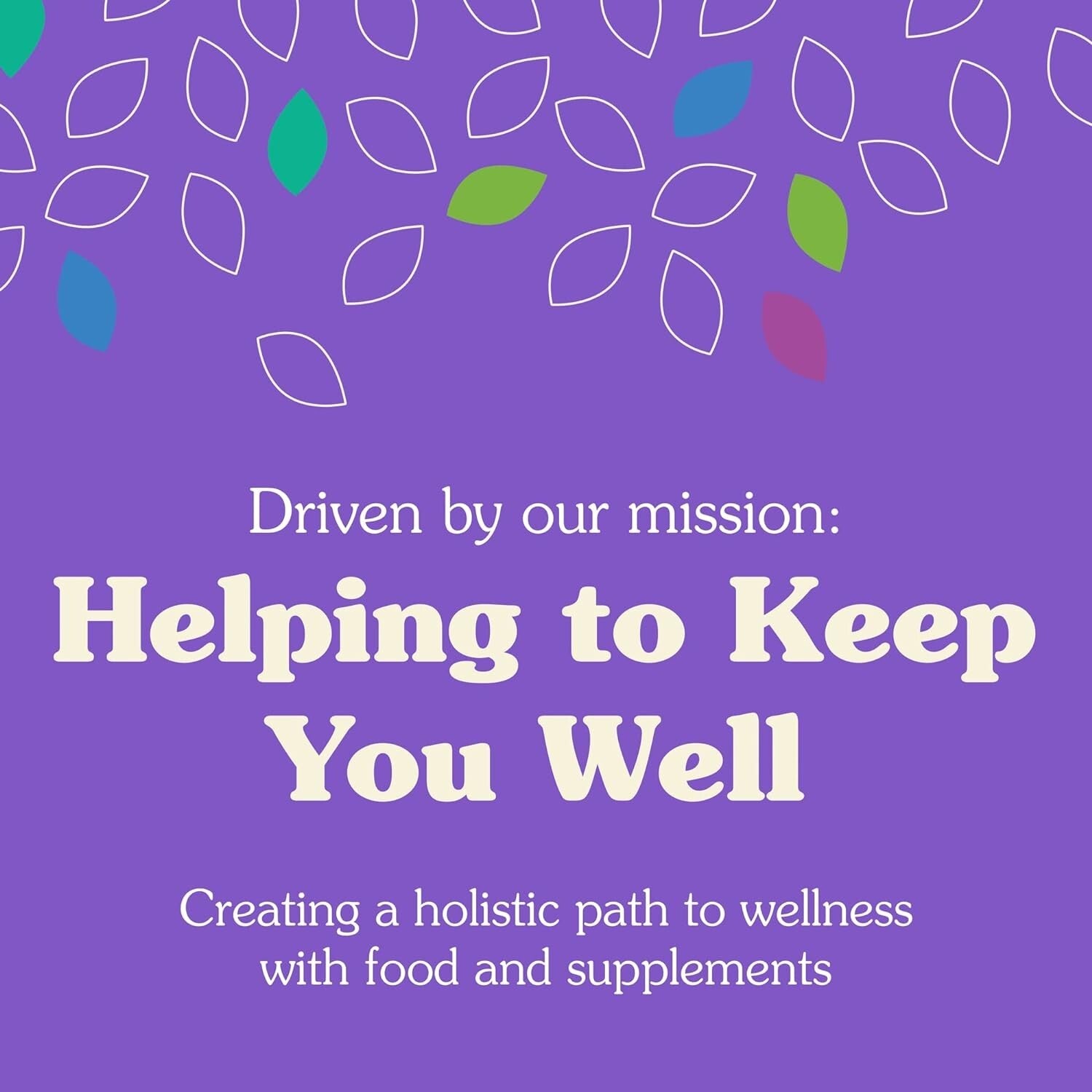 5lb Premium Organic Cocoa Powder - Dutch Process for Smooth Drinks & Bakes