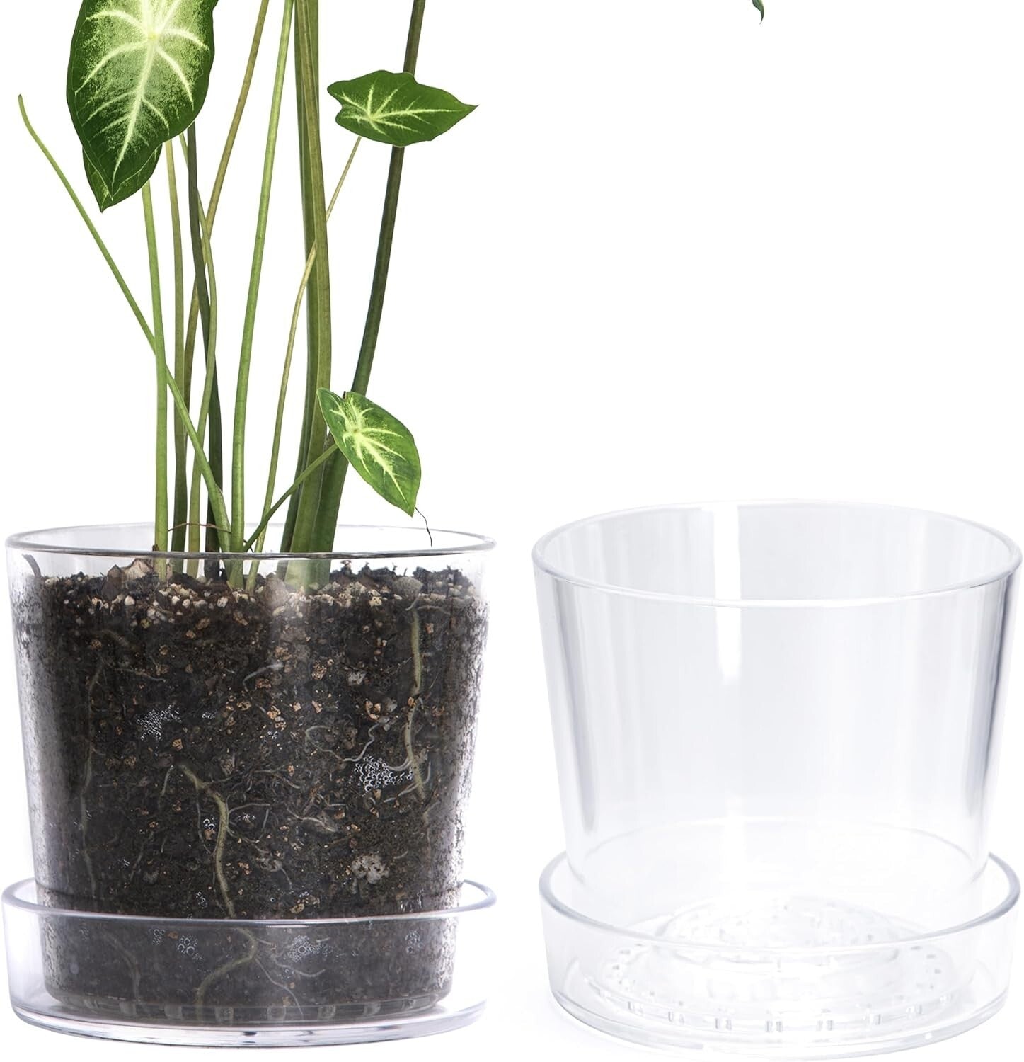 Elegant 8-Inch Clear Planter Pot Set with Deep Saucer – Indoor Herb & Orchid Pot