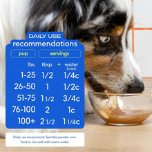 Load image into Gallery viewer, Nutritious Beef Bone Broth Powder for Dogs - 192 Servings, Joint Health Booster