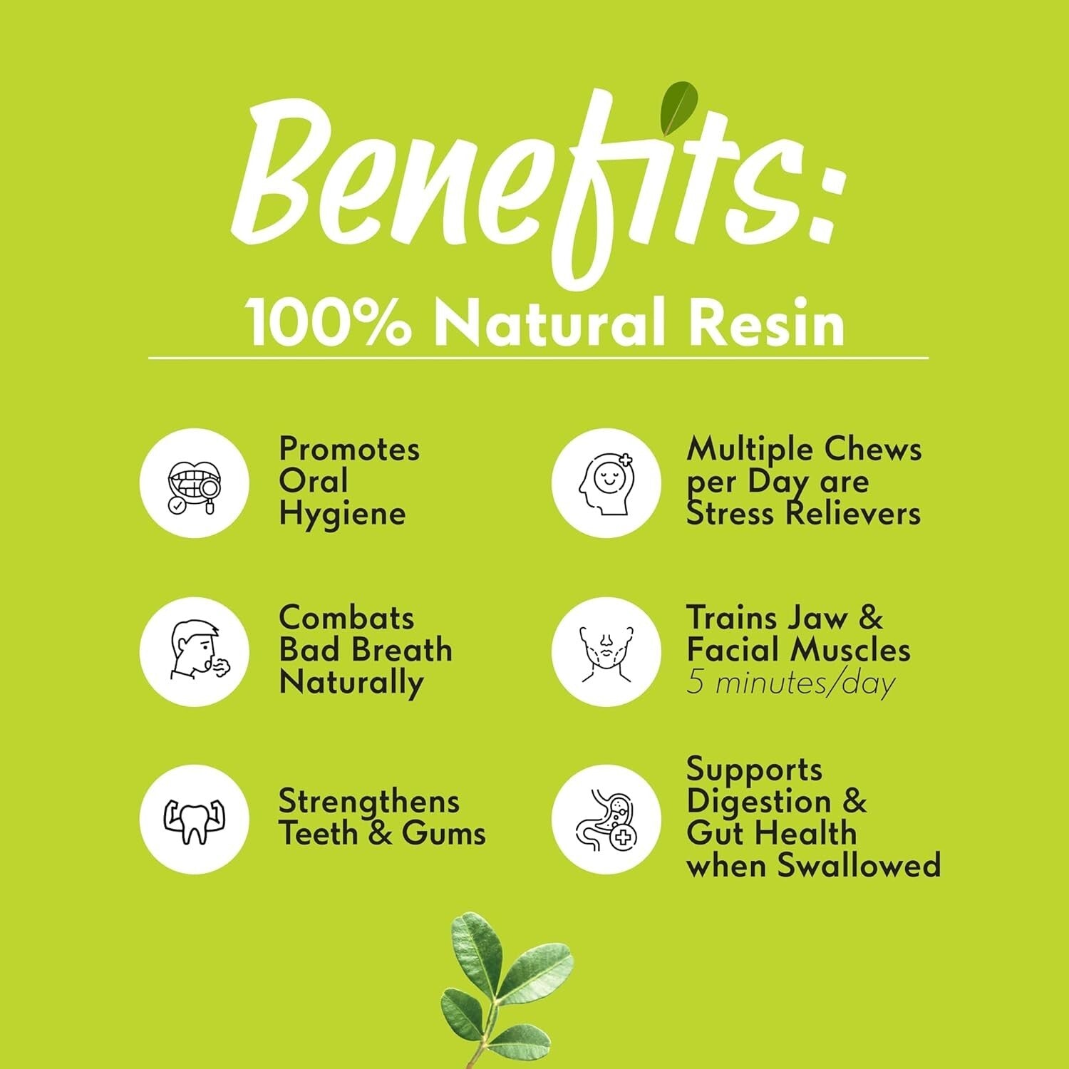 Chios Mastic Gum 3.52oz - Authentic Sugar-Free Mastiha for Healthy Living