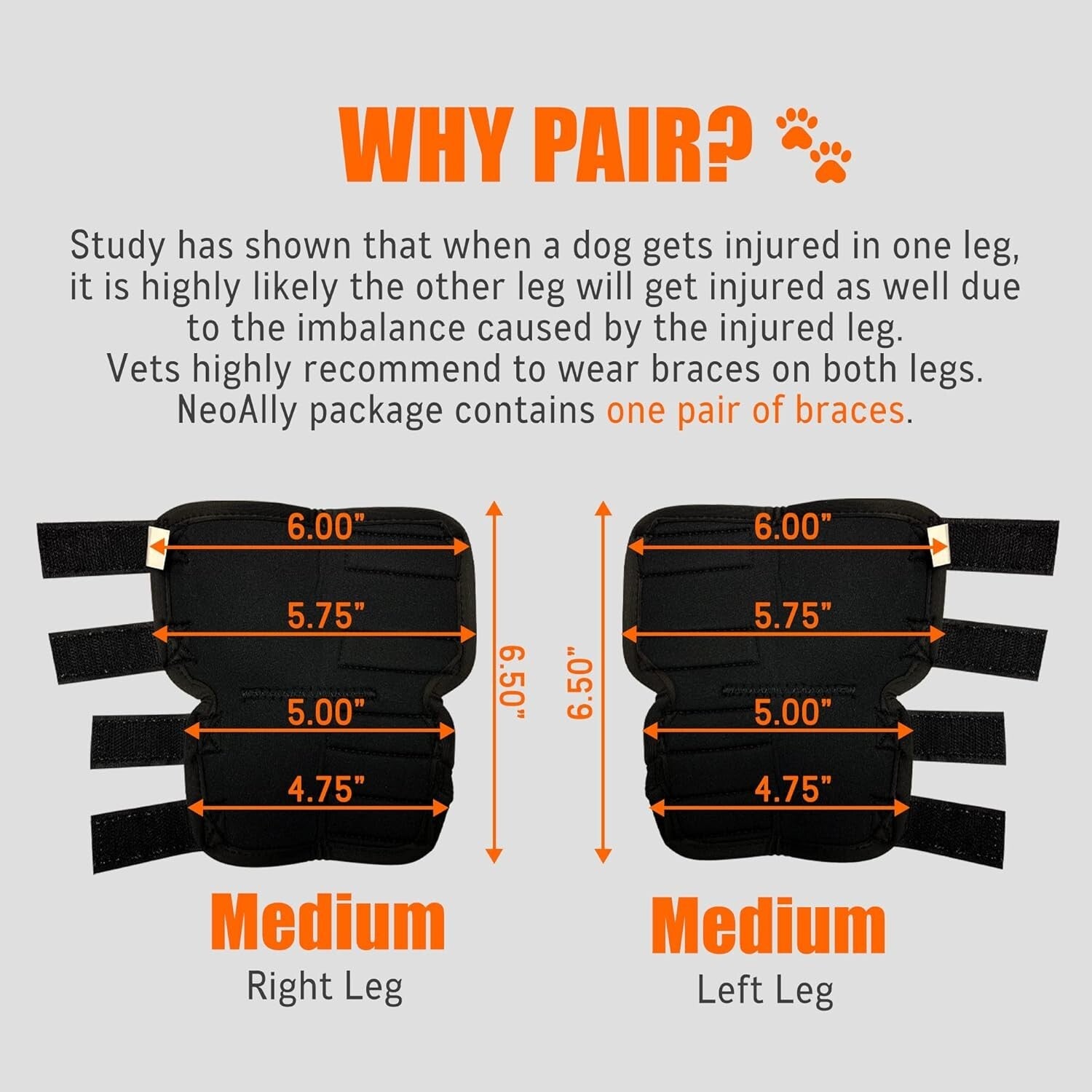 Large Dog Rear Leg Hock Brace - Comfortable Support for ACL & CCL Injuries