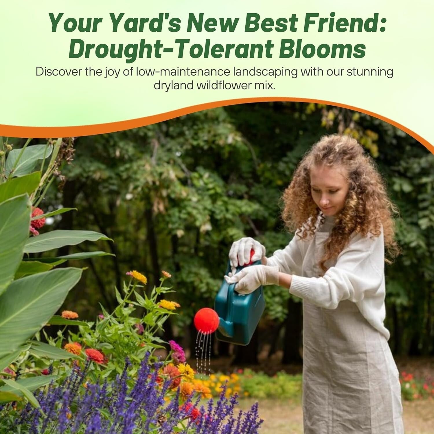 5 lbs. Heirloom Wildflower Seeds – Drought-Tolerant Mix for Full Sun & Shade