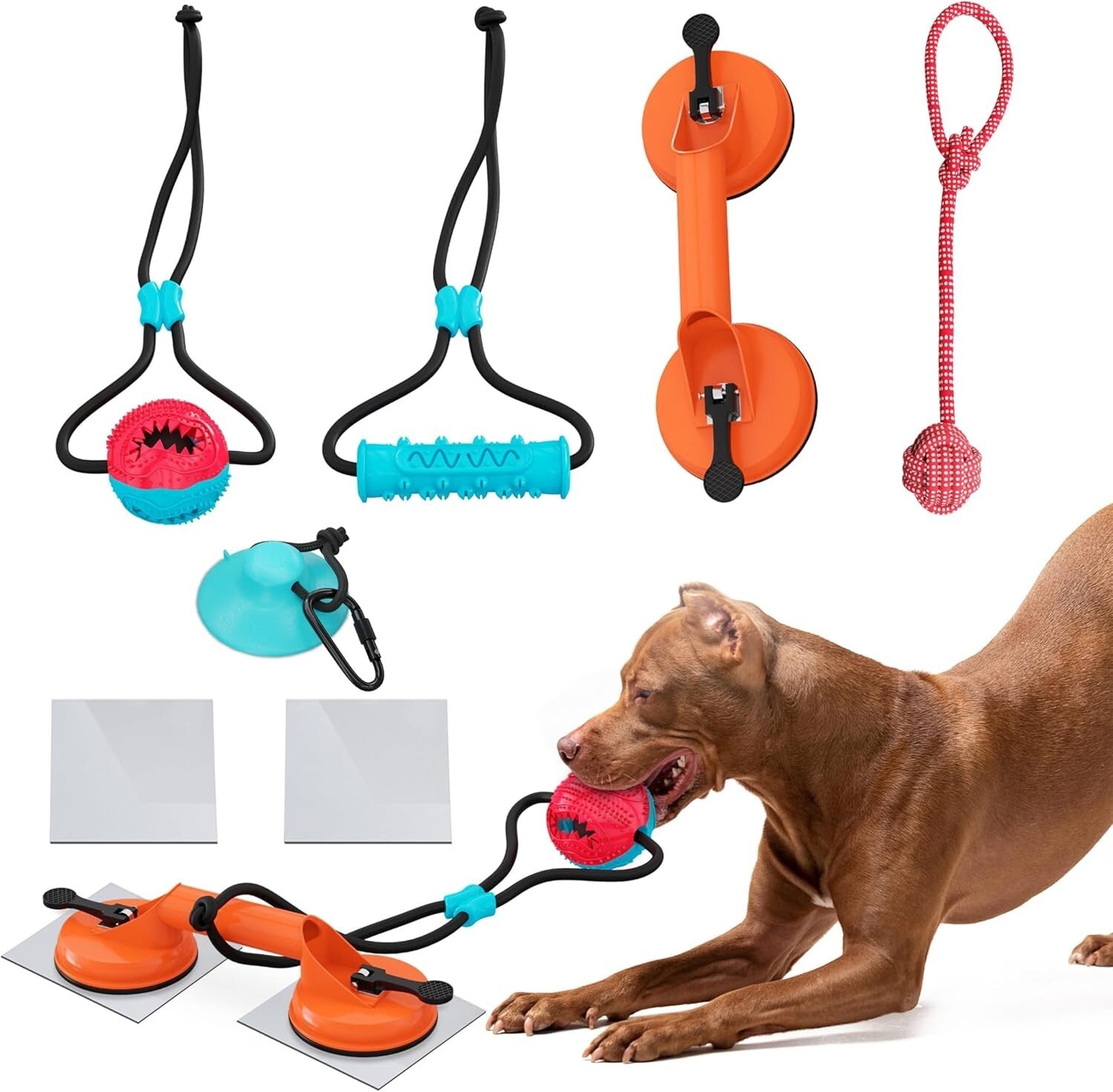 Durable Tug of War Dog Toy with Double Suction Cups - Perfect for Large Breeds