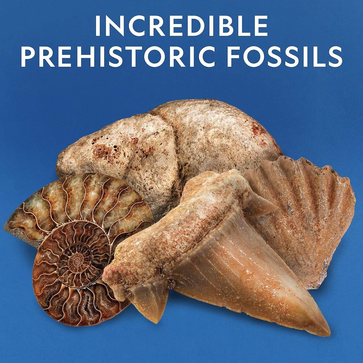 National Geographic 300-Piece Rock Collection with Real Fossils & Book for Kids