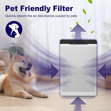 Load image into Gallery viewer, Cost-Effective HEPA Filter Replacement Pack for Winix C535, 5300, 5500 Models