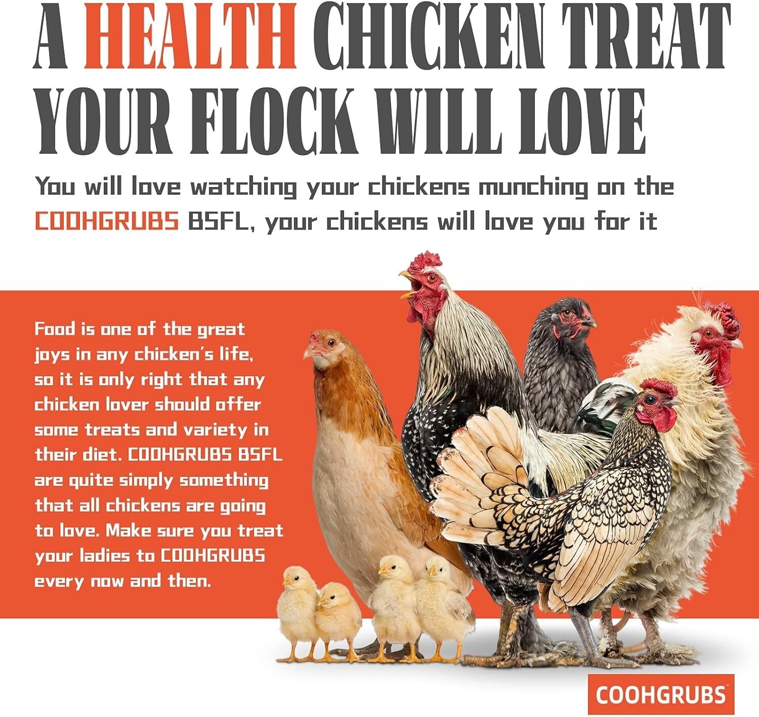 Boost Chicken Health with 10 lb. Black Soldier Fly Larvae: All Breed Suitable