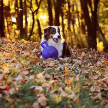 Load image into Gallery viewer, Jolly Ball Tug-N-Toss Dog Toy - 10-Inch Blue Fun for Large and Extra-Large Dogs