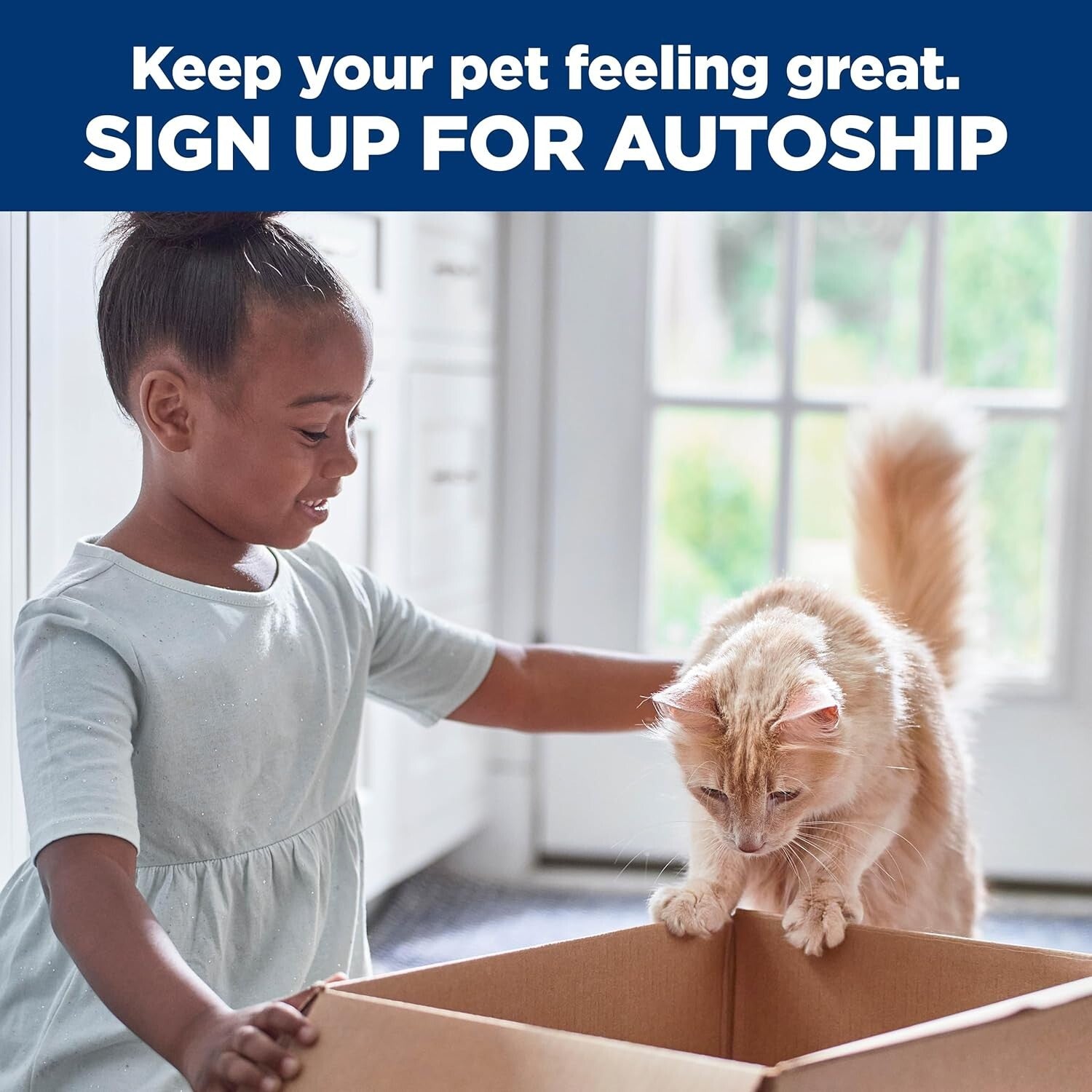 Science Diet 15.5 lb Chicken Flavor Dry Food for Indoor Adult Cats 1-6 Years