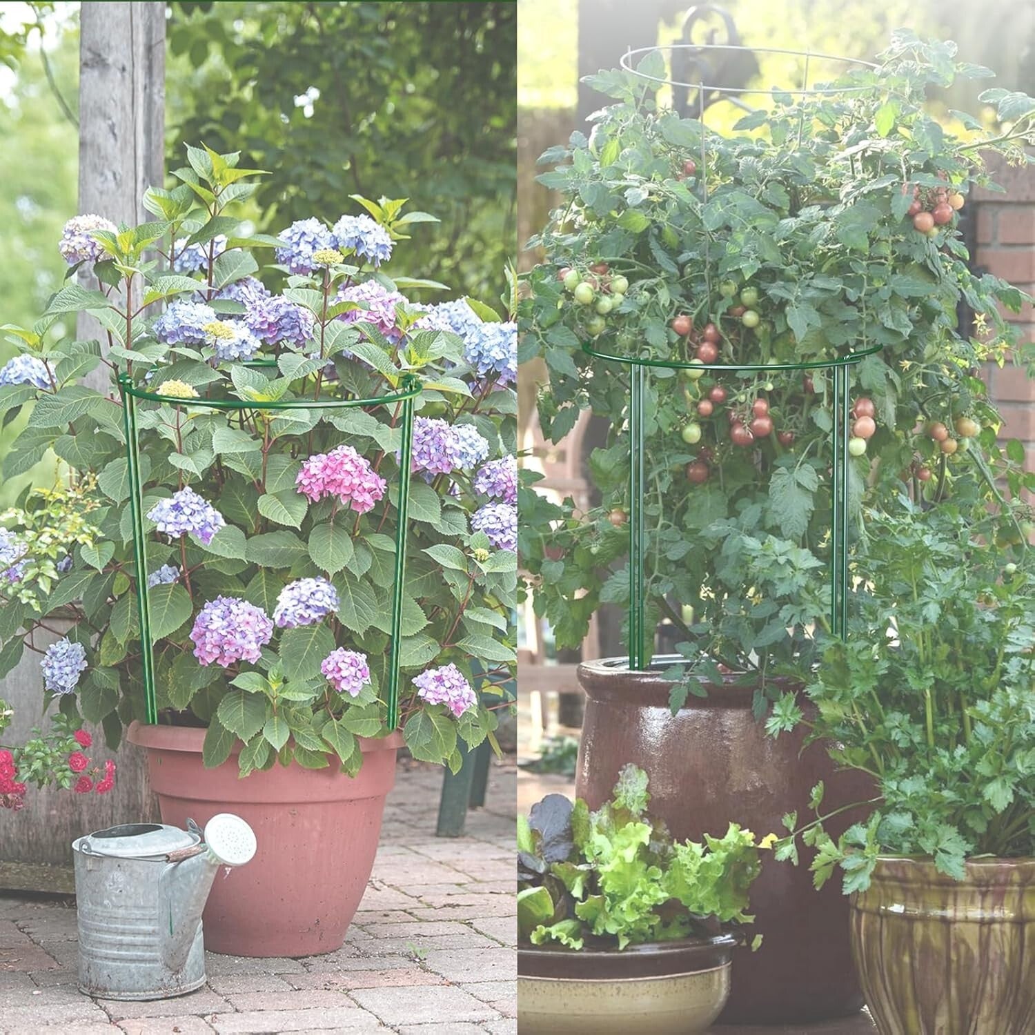 Durable Green Iron Plant Support Stakes - 30-Inch Set of 12 for Garden Use