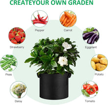 Load image into Gallery viewer, Stylish &amp; Versatile 10 Gallon Fabric Grow Bags - Ideal for Indoor &amp; Outdoor Use