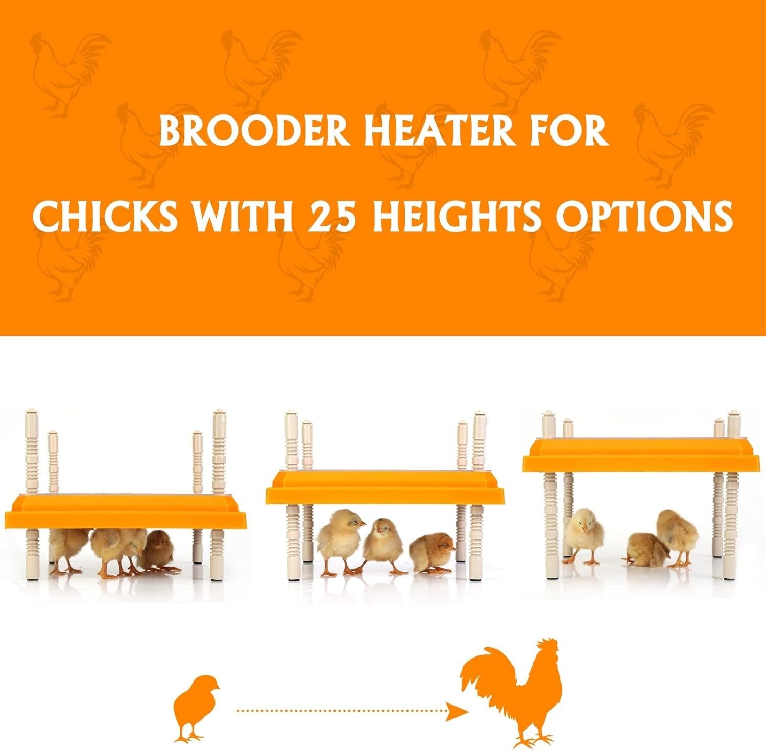 10" x 10" Chick Heating Plate for Poultry - Safe and Effective Brooder Solution