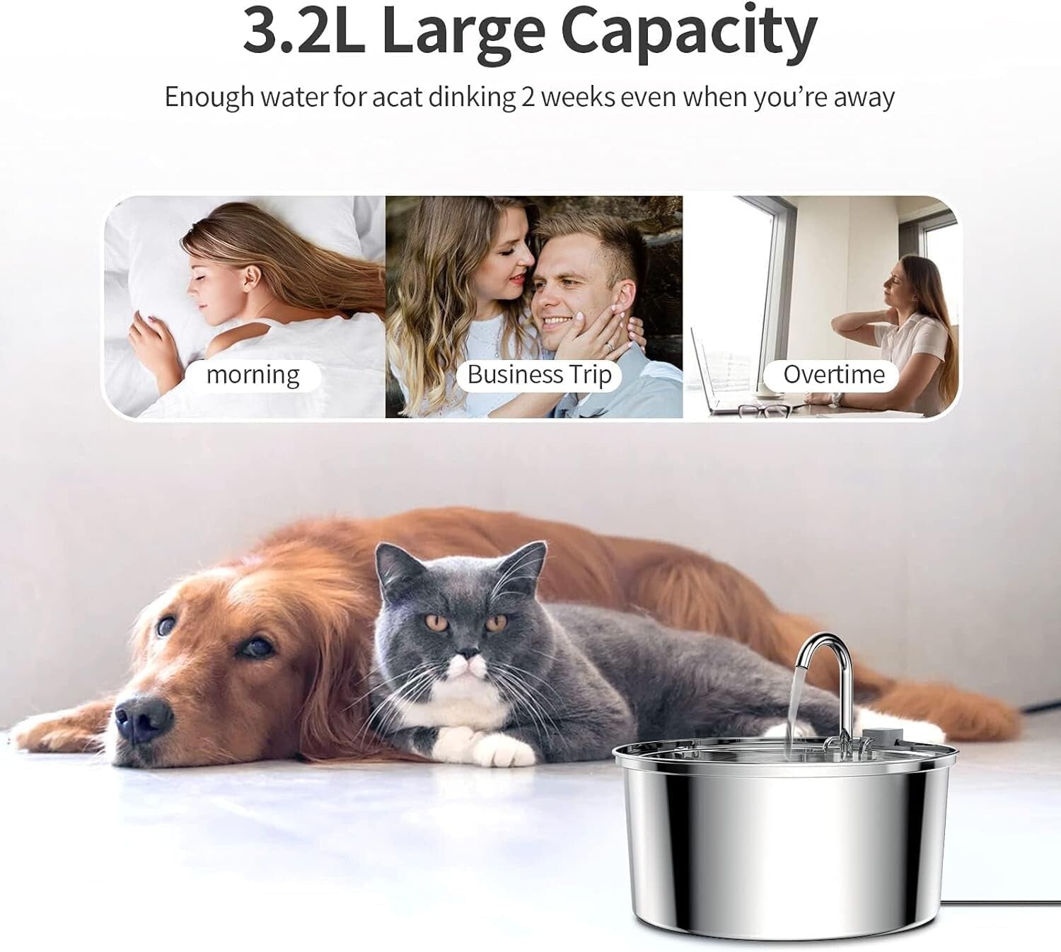 Large 3.2L Stainless Steel Pet Water Fountain - Includes 8 Replacement Filters