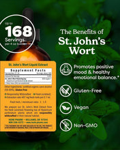 Load image into Gallery viewer, Sustainably Sourced St. John's Wort Liquid Extract - 4oz for Mood Enhancement