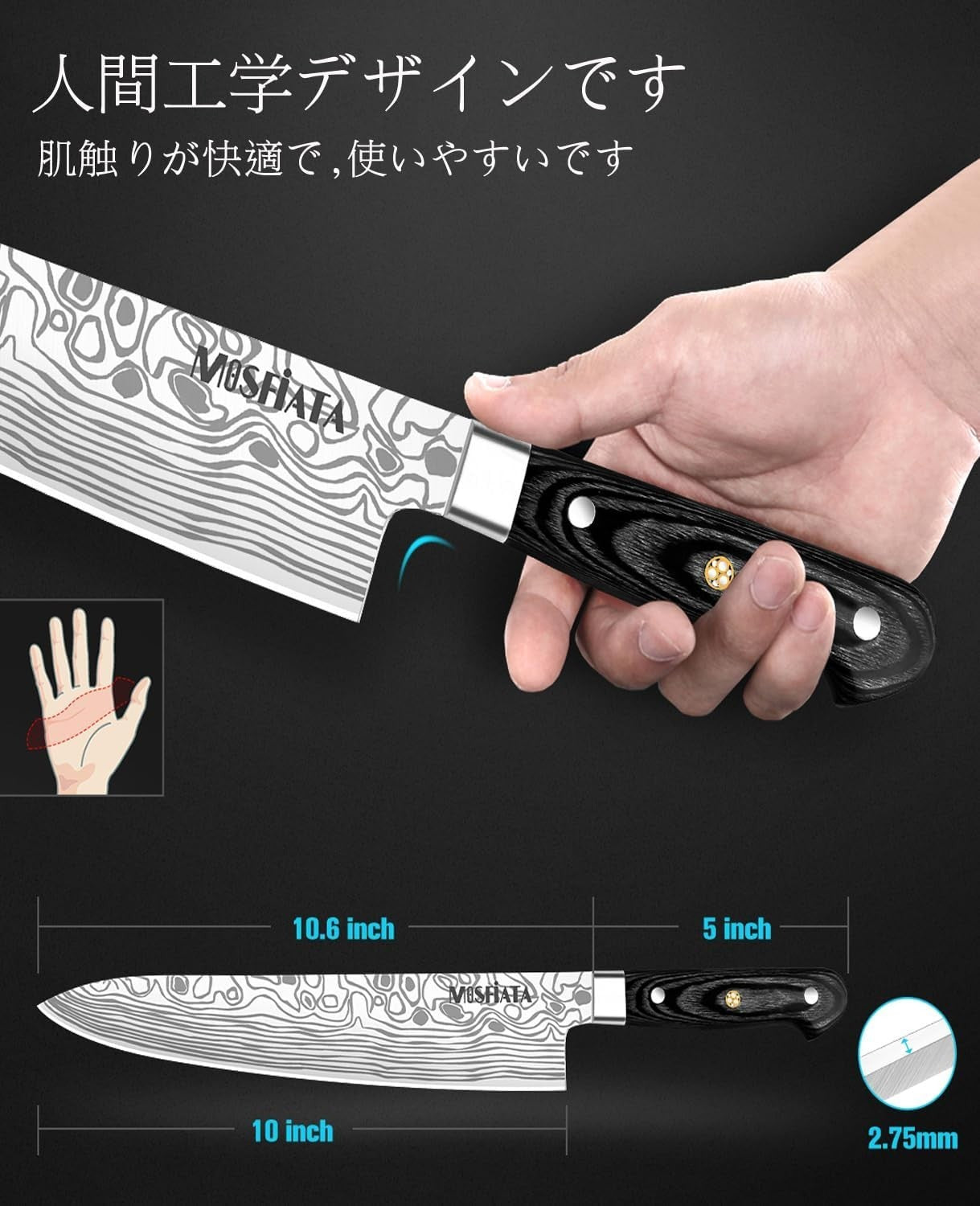 Chef Knife 10-Inch - Forged Stainless Steel with Comfortable Micarta Handle