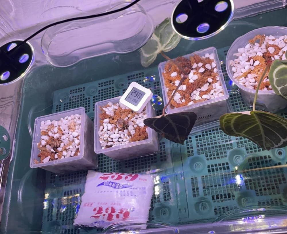 Natural 30QT Perlite for Aeration & Drainage - Ideal Soil Amendment for Plants