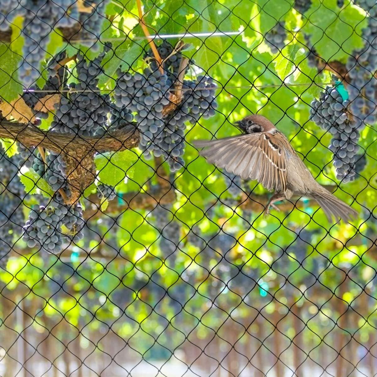 Durable 50' x 50' Garden Netting - Protect Your Plants from Birds and Animals