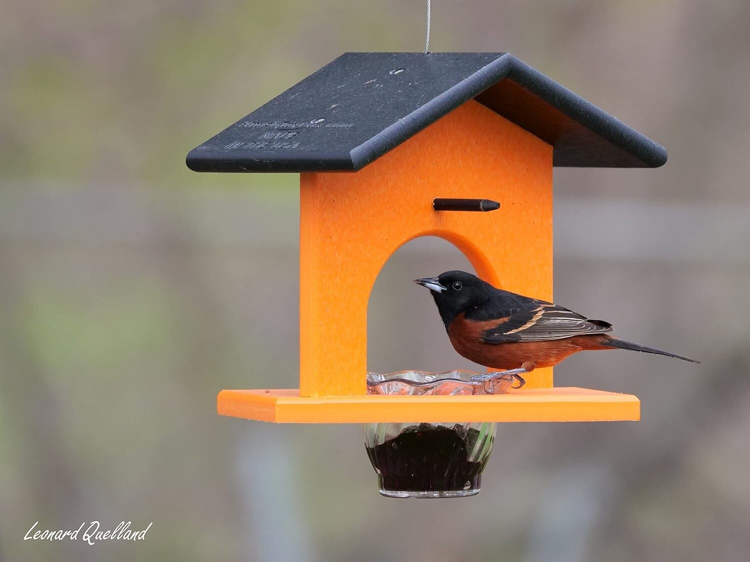 Eco-Friendly Hanging Oriole Bird Feeder - Black/Orange, Durable Poly Lumber
