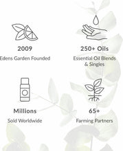 Load image into Gallery viewer, Aromatherapy Essential Oil: 30ml Pure Tea Tree Oil for Skin and Breathing Health