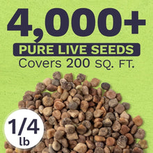 Load image into Gallery viewer, Bulk 1/4 Pound Bluebonnet Seeds - Over 4000 Fresh Wildflowers for Texas Gardens