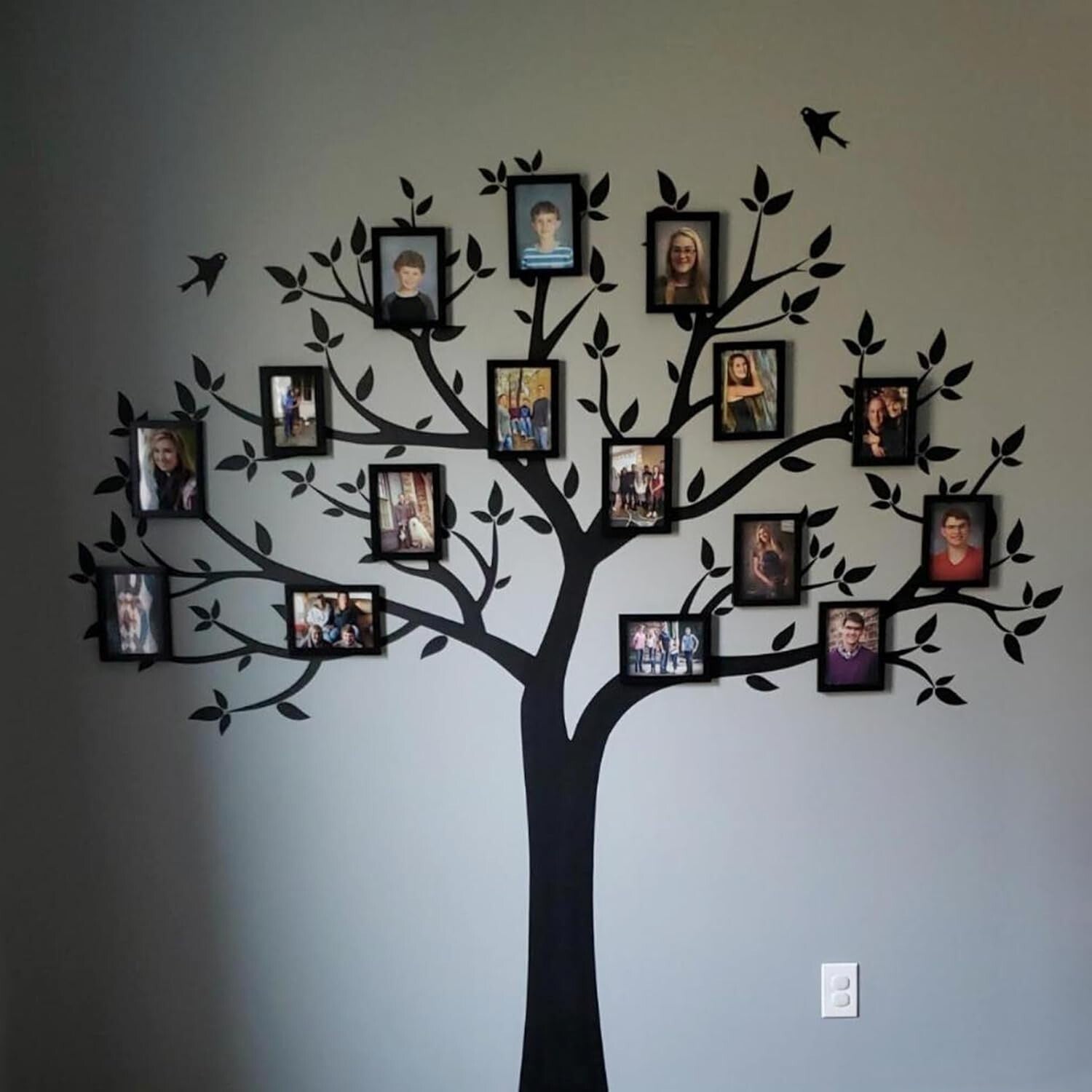 Classic Set of 17 5x7 Picture Frames – Safe & Elegant Display for All Occasions