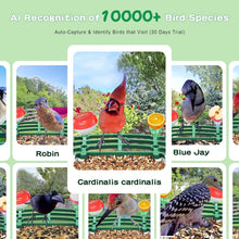 Load image into Gallery viewer, Weatherproof Bird Feeder Camera with Live View – Instant Notifications &amp; Sharing