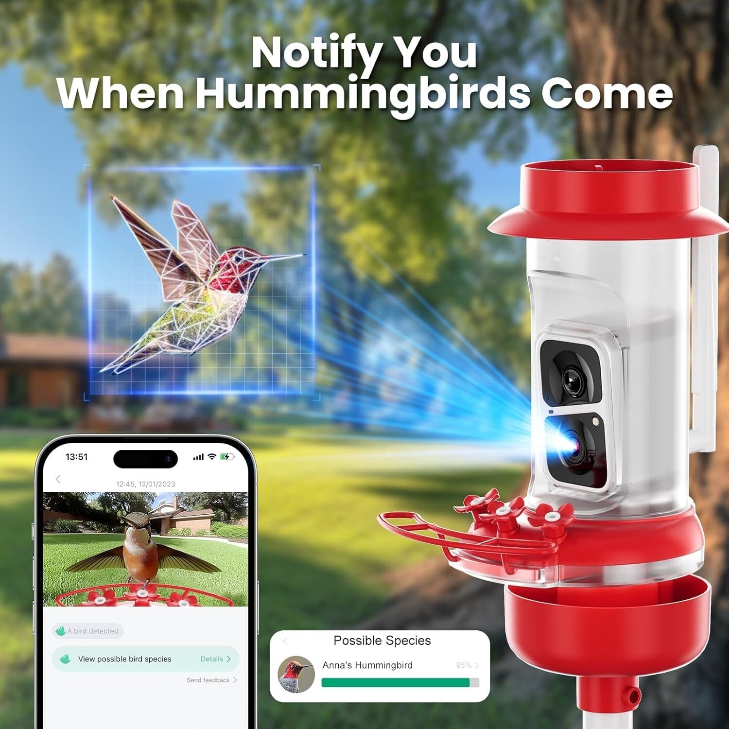 Bird Watching Camera Feeder with AI Species ID, Solar Power & Easy Clean Design