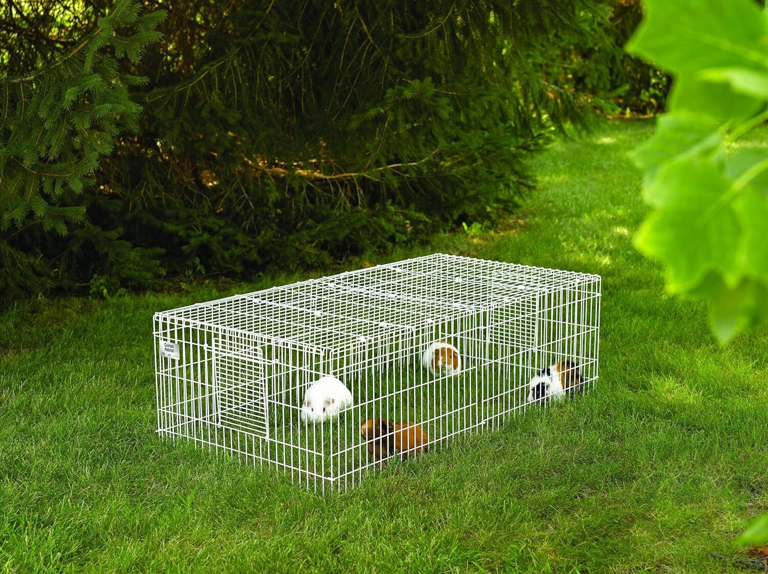 Spacious 8 Sq Ft Guinea Pig Cage with Removable Top - Indoor/Outdoor Use