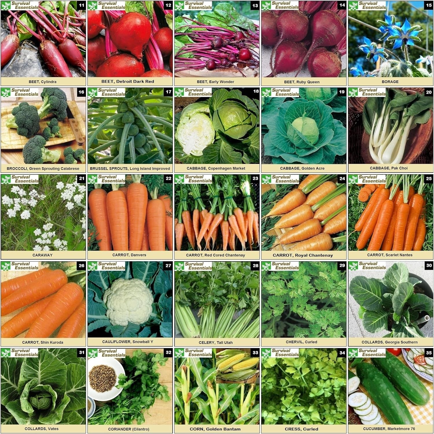Diverse Heirloom Seed Collection - 135 Varieties for Organic Gardening Joy