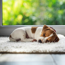 Load image into Gallery viewer, Heavy-Duty Pet Screen Mesh 48” x 100 ft for Window &amp; Door Protection - Charcoal