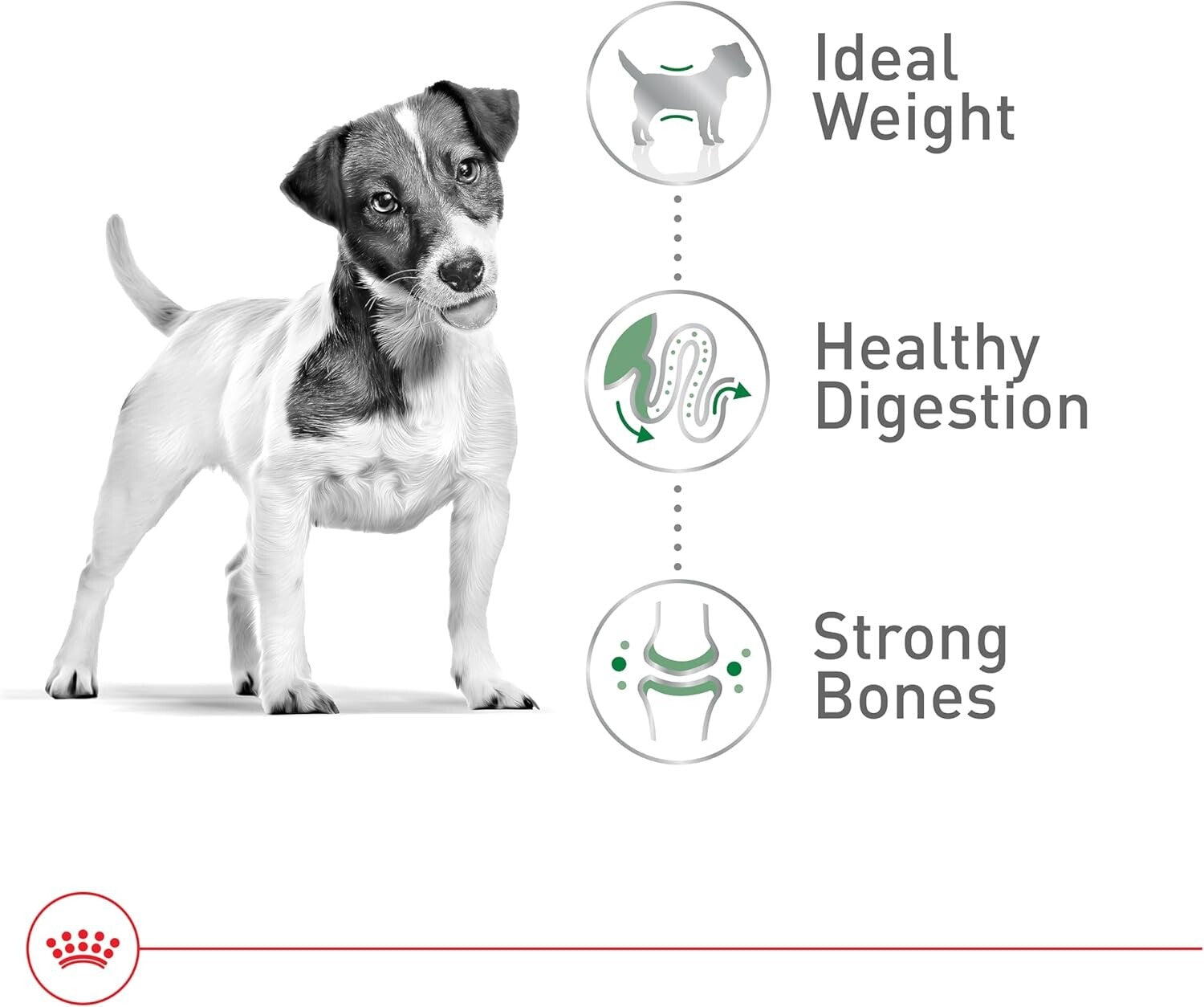 Royal Canin Small Adult Dry Dog Food, 14 lb – Supports Weight & Bone Health