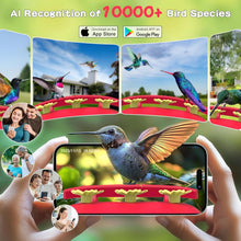Load image into Gallery viewer, Ultimate Hummingbird Feeder with 4K Camera—AI Species Identifier &amp; Notifications