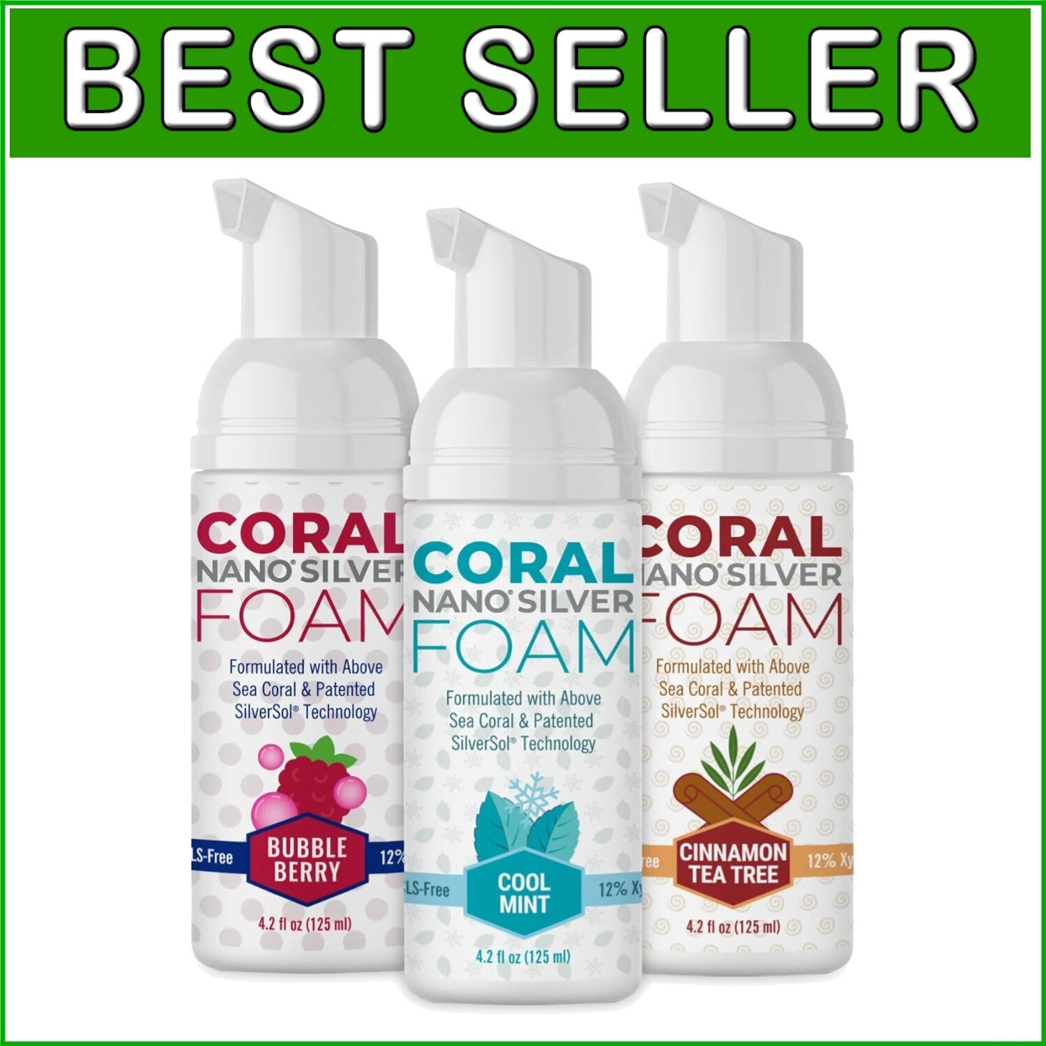 Effective Fluoride-Free Foaming Toothpaste with Nano Silver - Family 4oz Pack