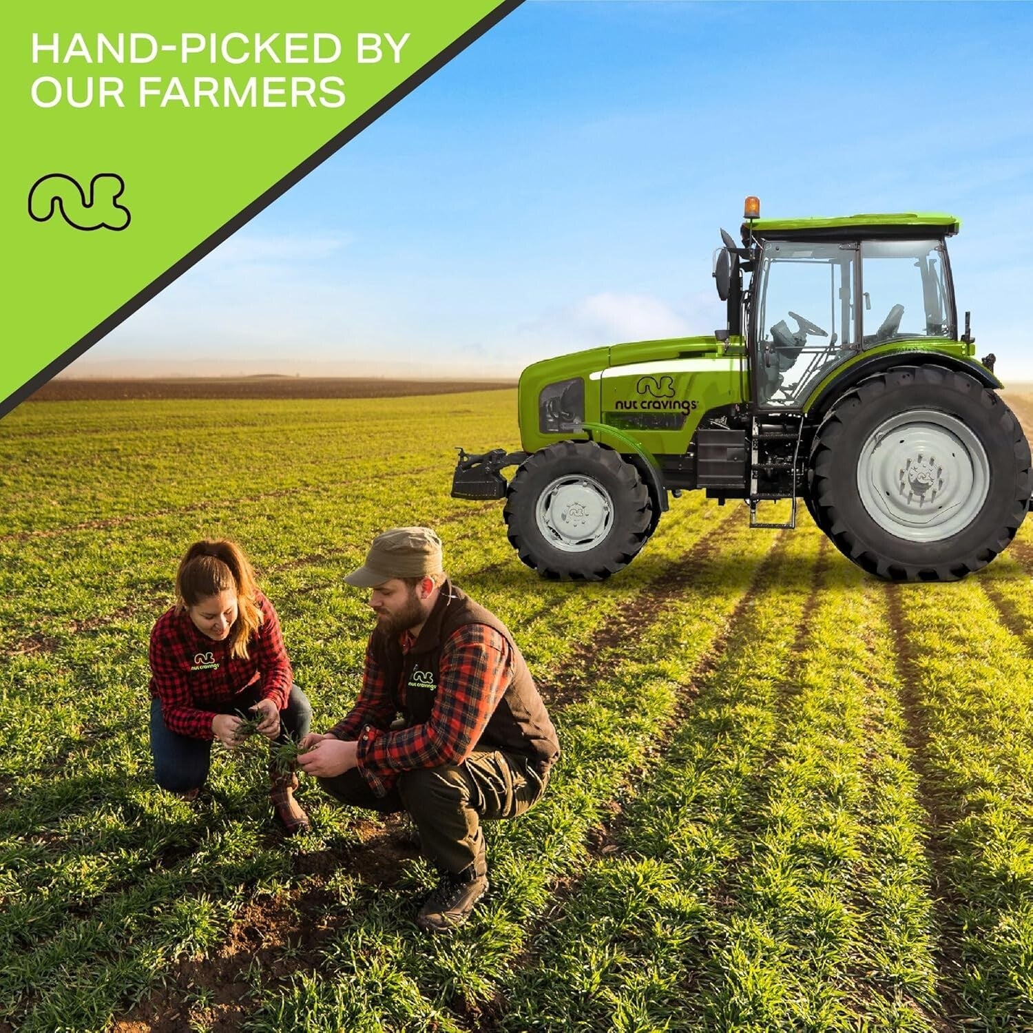 Freshly Handpicked Raw Brazil Nuts - Unsalted, Whole in 48oz Eco-Friendly Bag