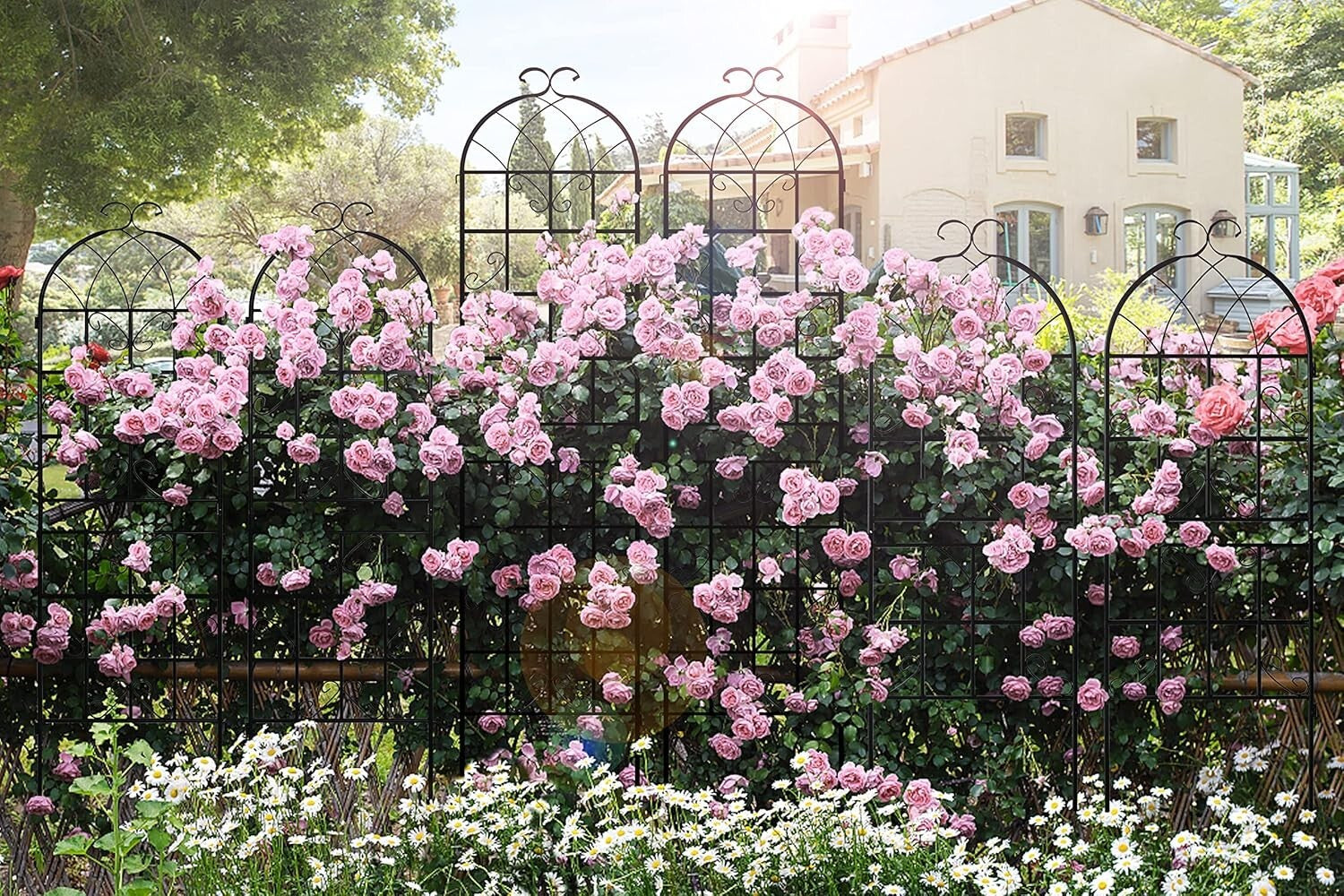 Versatile 4-Panel Outdoor Iron Garden Arch - Cultivate Stunning Climbing Plants