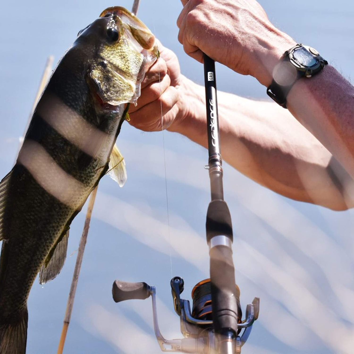 Ultra-Durable 7ft Spinning Rod - Stainless Steel Guides with SiC Inserts