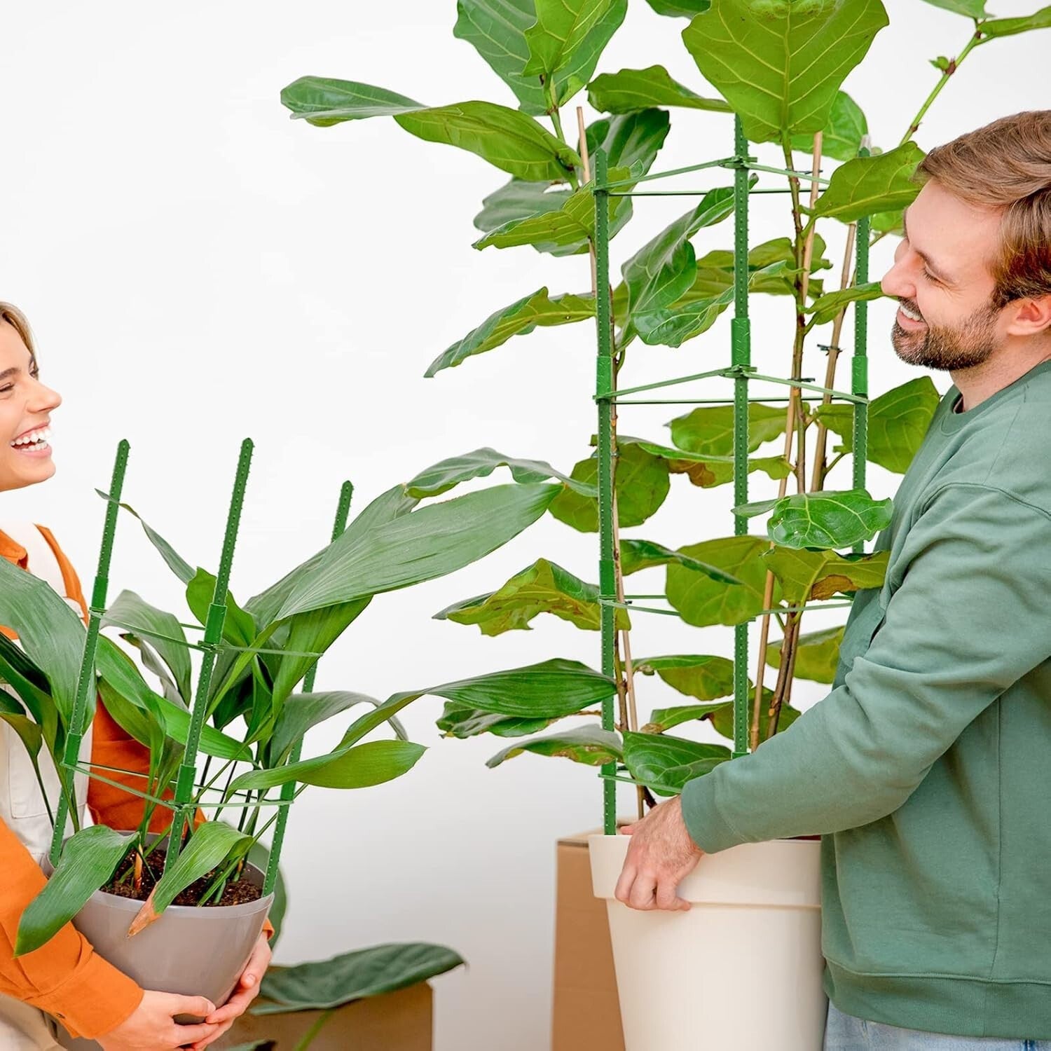 Premium 8-Piece Triangular Tomato Cages - Adjustable & Sturdy Plant Support