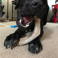 Load image into Gallery viewer, Odorless Antler Dog Chews Set - 3 Pack of Long-Lasting Chews for Large Breeds
